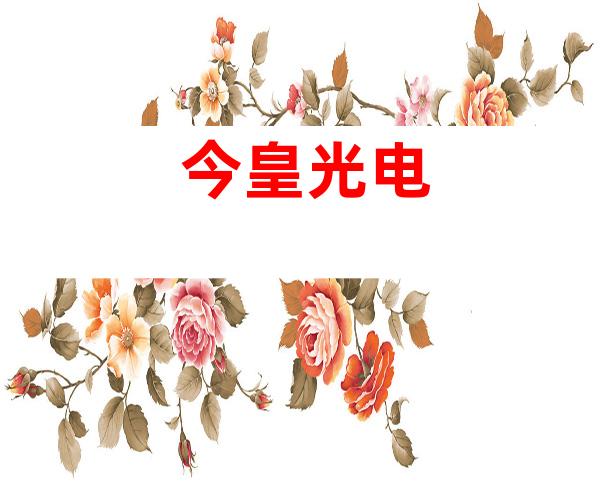 今皇光电