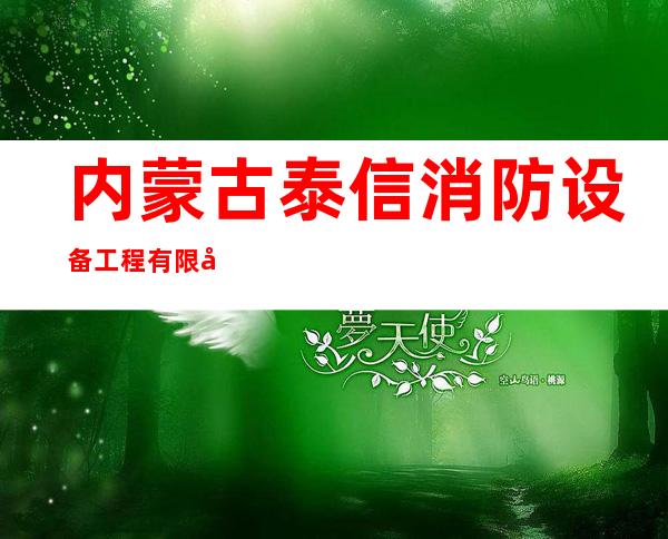 内蒙古泰信消防设备工程有限公司