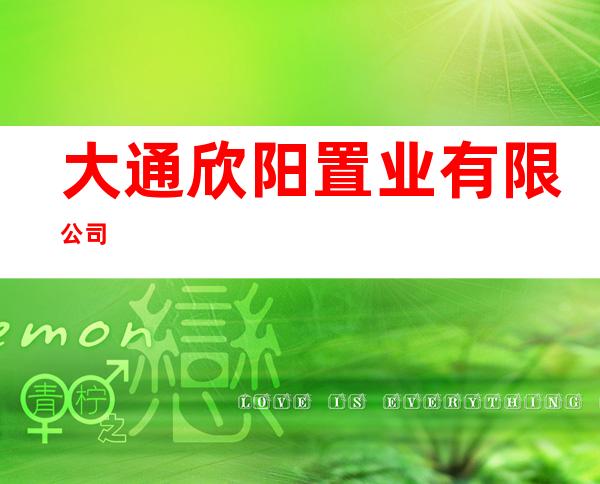 大通欣阳置业有限公司